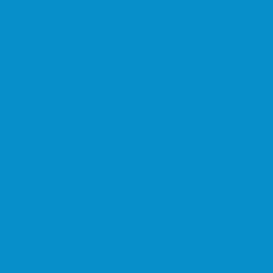 Термотрансферная плёнка ACE FLOCK-301 (005), небесно-голубой(Термотрансферная плёнка ACE FLOCK-301 (005), небесно-голубой)