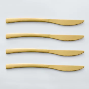 Комплект из 4 ножей золотистого LaRedoute(Цвета AUBERIE единый размер золотистый)